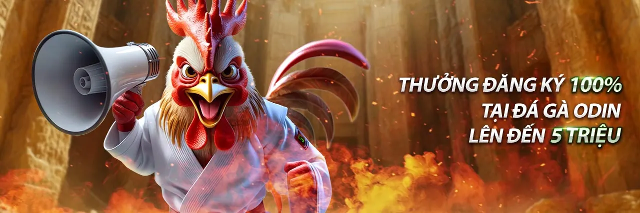 Điều Khoản Dịch Vụ Chính Thức của bong888