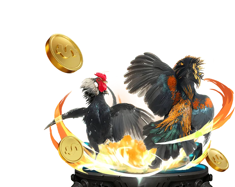 Ưu điểm của cá cược đá gà bong888