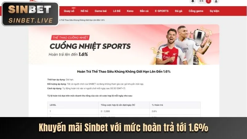 Hình ảnh minh họa các môn thể thao đa dạng trên nền tảng cá cược bong888